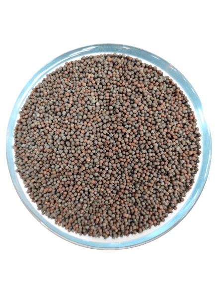 Rai (Mustard Seeds)